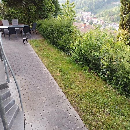 Das Tor Zum Odenwald Gorxheimertal Exteriér fotografie