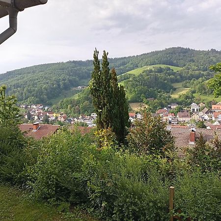 Das Tor Zum Odenwald Gorxheimertal Exteriér fotografie
