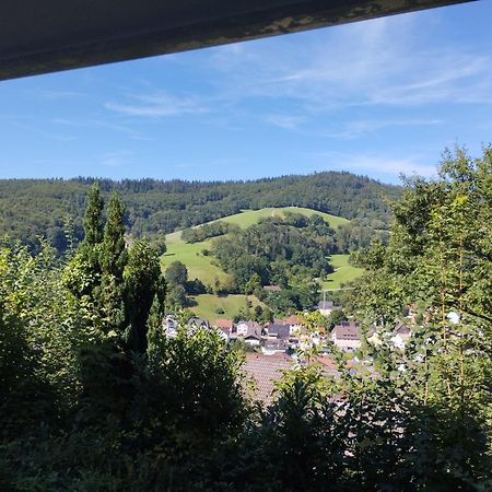 Das Tor Zum Odenwald Gorxheimertal Exteriér fotografie