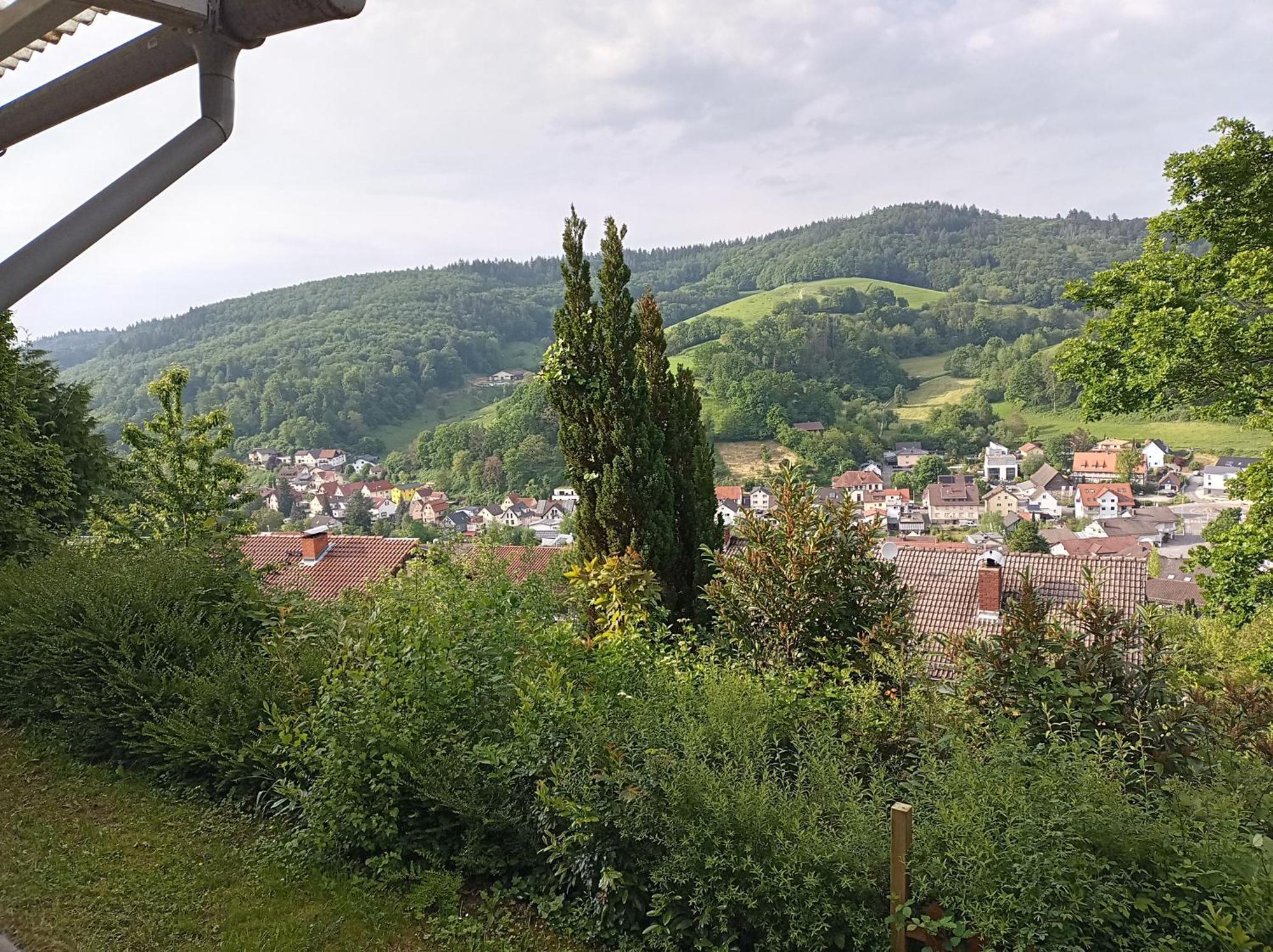 Das Tor Zum Odenwald Gorxheimertal Exteriér fotografie