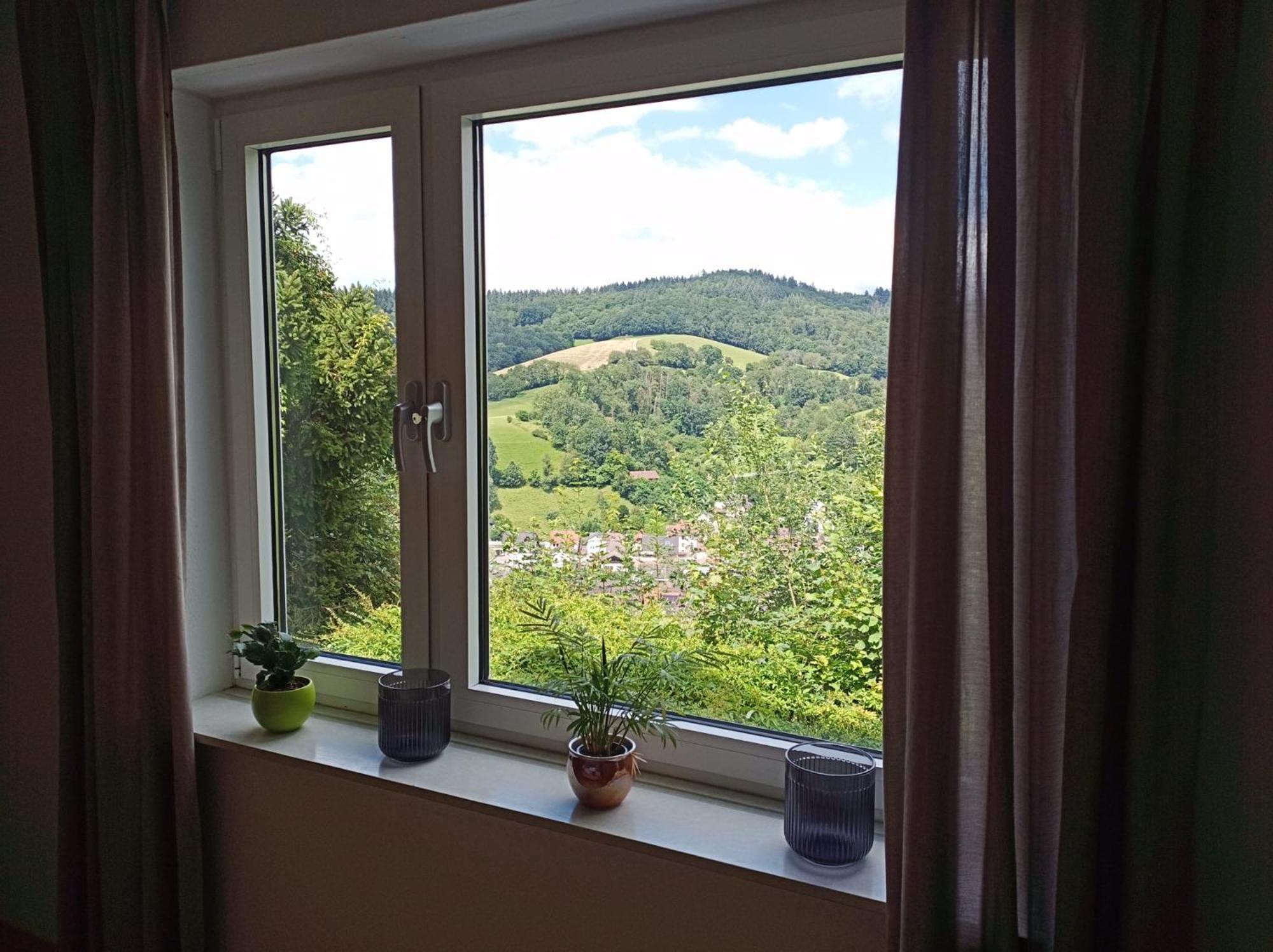 Das Tor Zum Odenwald Gorxheimertal Exteriér fotografie