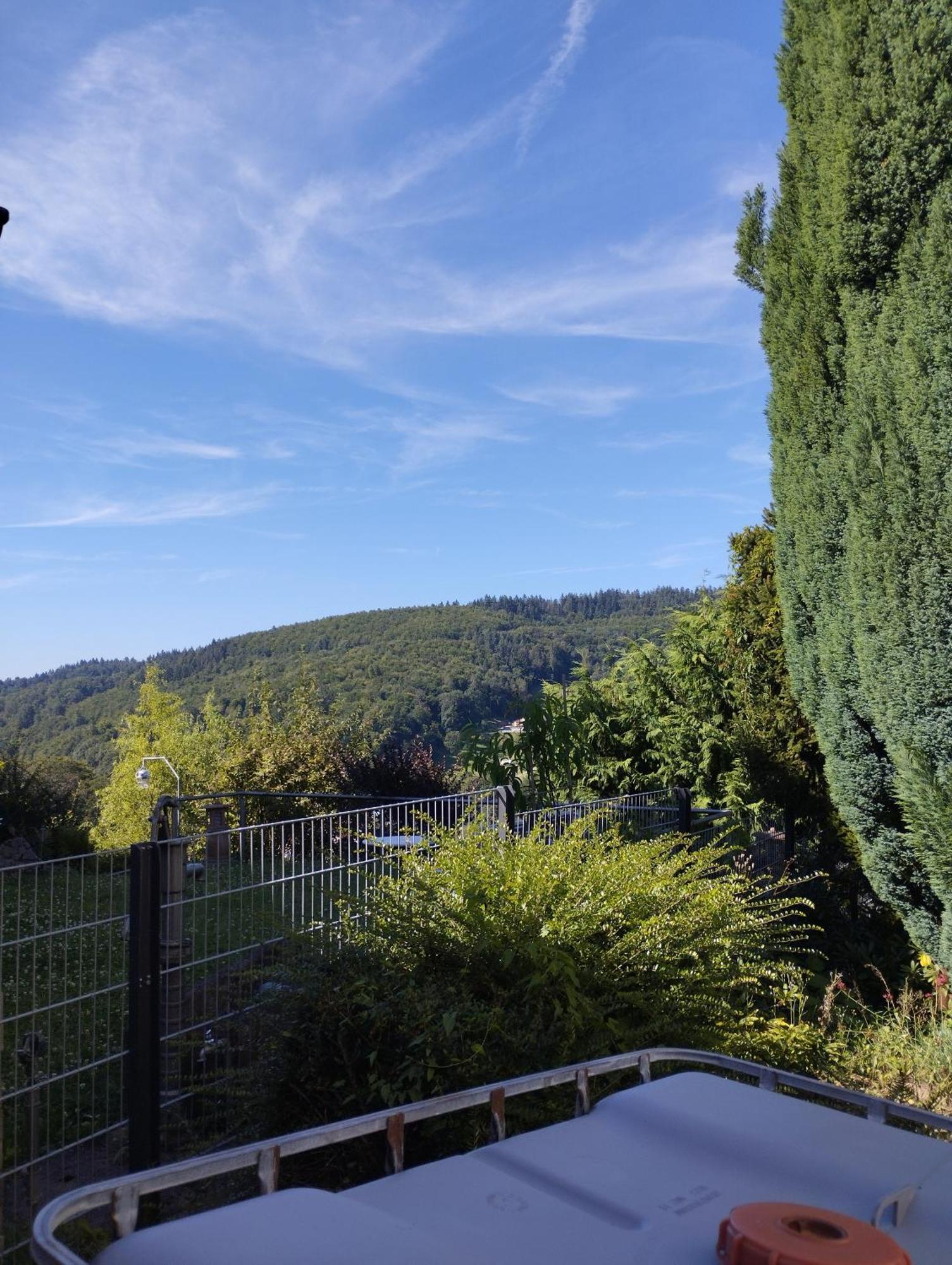 Das Tor Zum Odenwald Gorxheimertal Exteriér fotografie