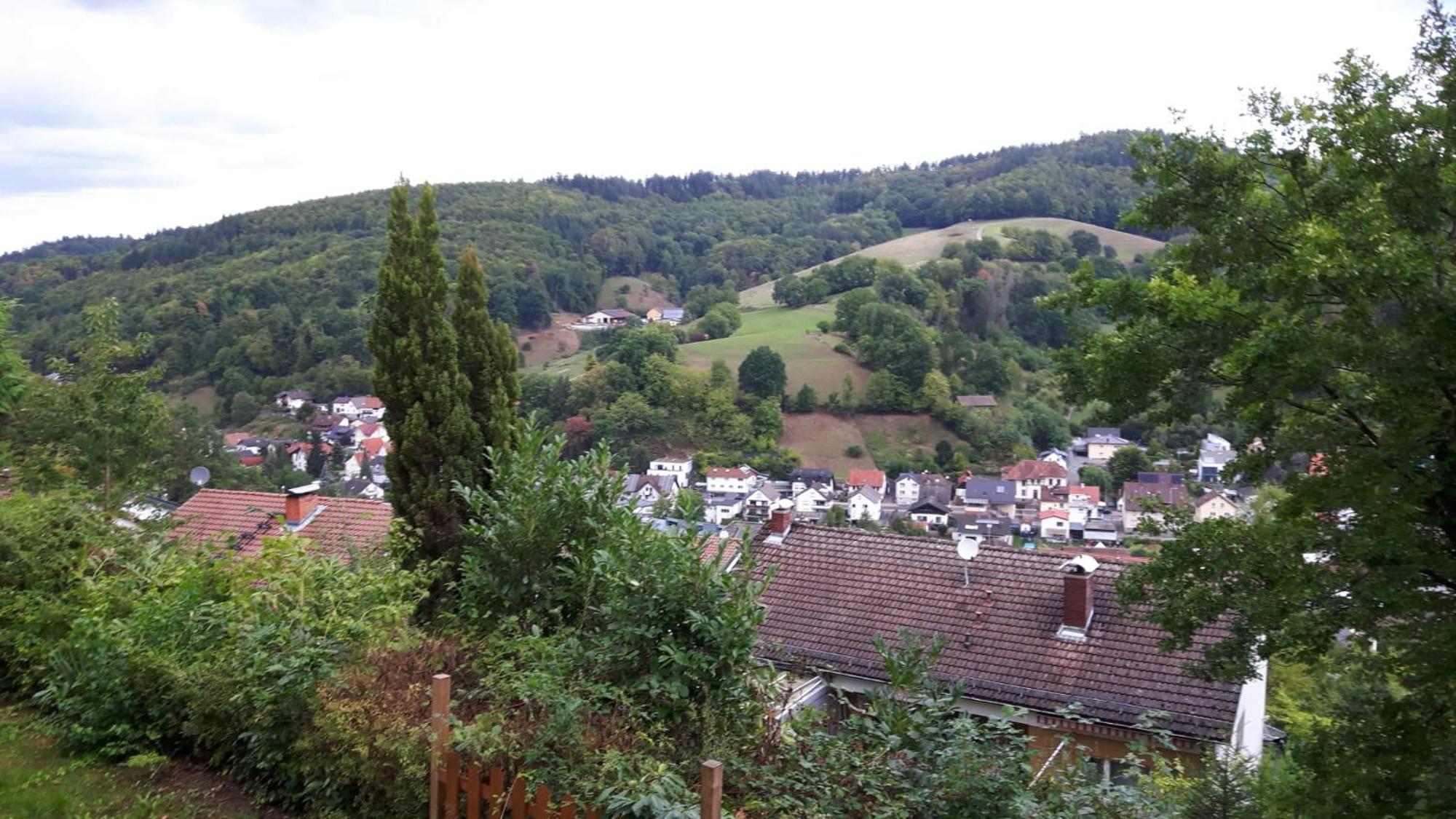Das Tor Zum Odenwald Gorxheimertal Exteriér fotografie